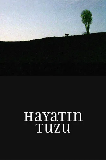 生命之盐海报