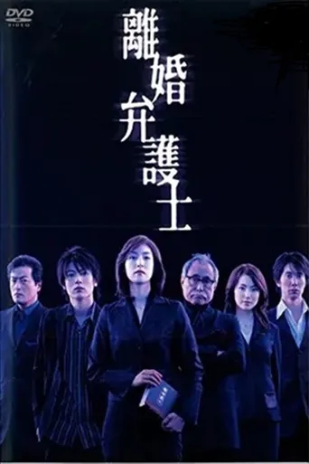 离婚女律师海报