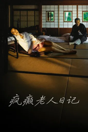 疯癫老人日记海报