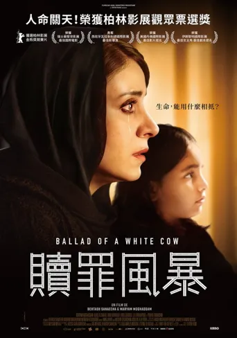 白奶牛之歌海报