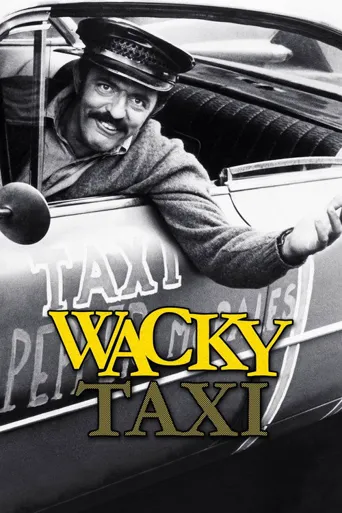 Wacky Taxi海报