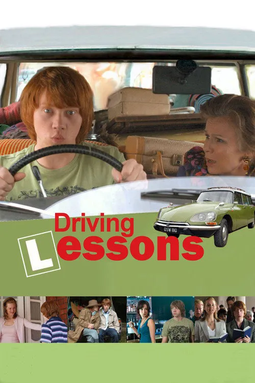 人生驾驶课海报