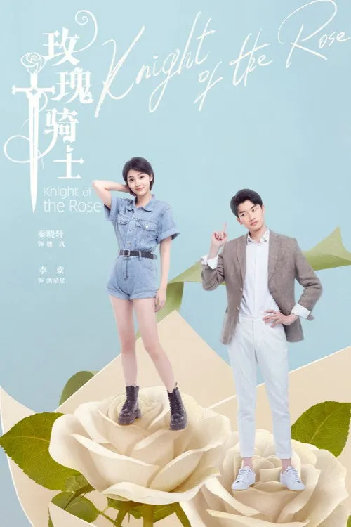 玫瑰骑士海报