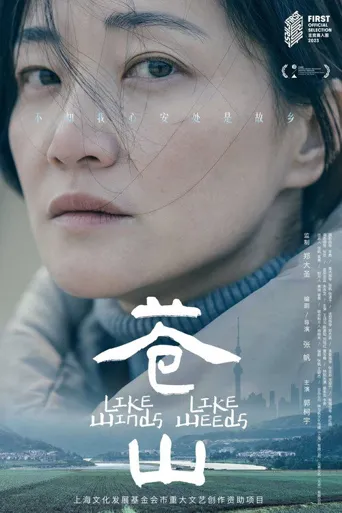 苍山海报