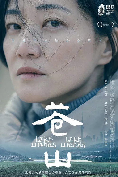 苍山海报
