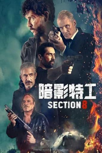 暗影特工海报