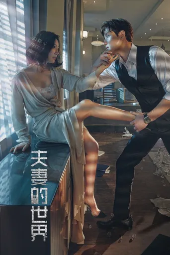夫妻的世界海报