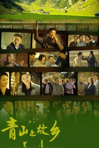 青山是故乡海报