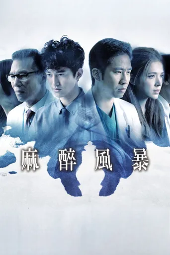 麻醉风暴海报
