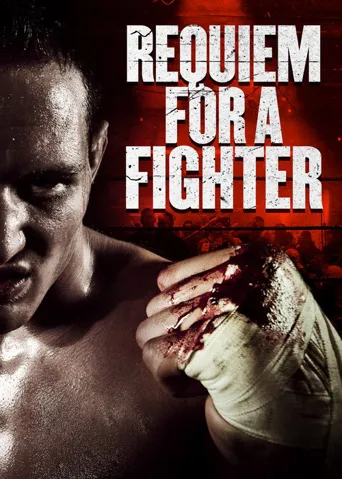 Requiem for a Fighter海报