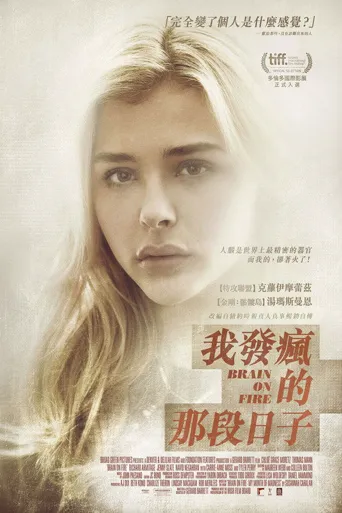 脑火海报