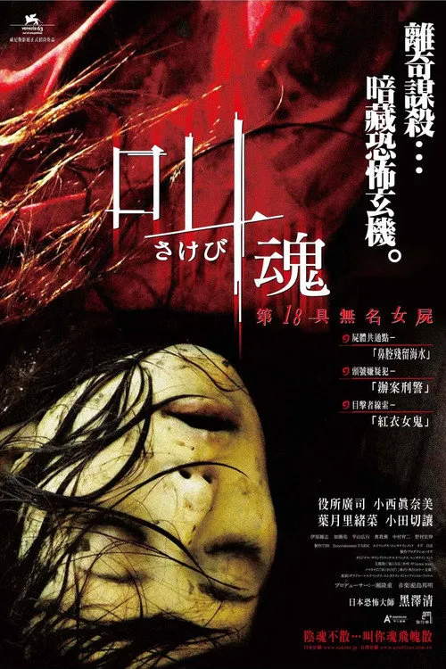 呼喊海报