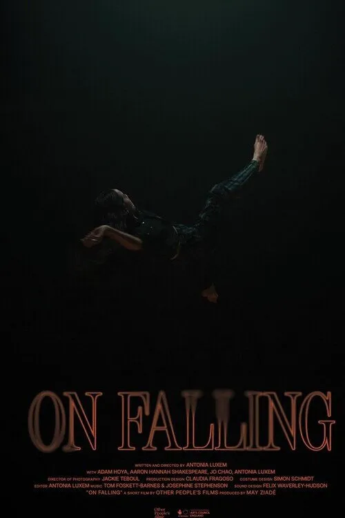 On Falling海报