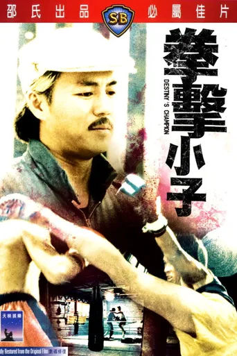拳击小子海报
