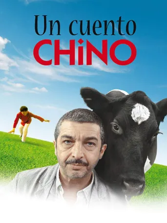 一丝偶然海报