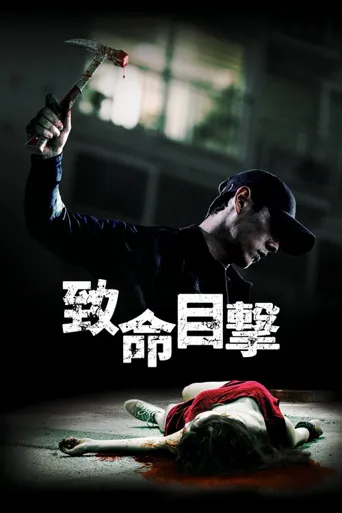 目击者海报