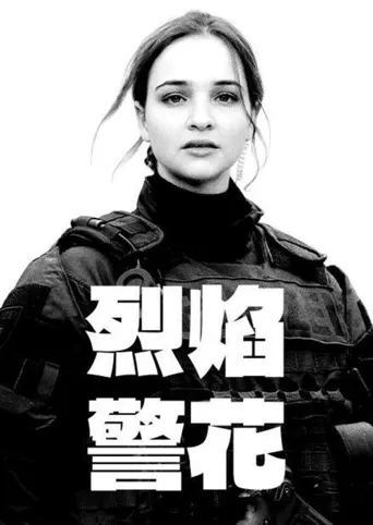 警察们海报