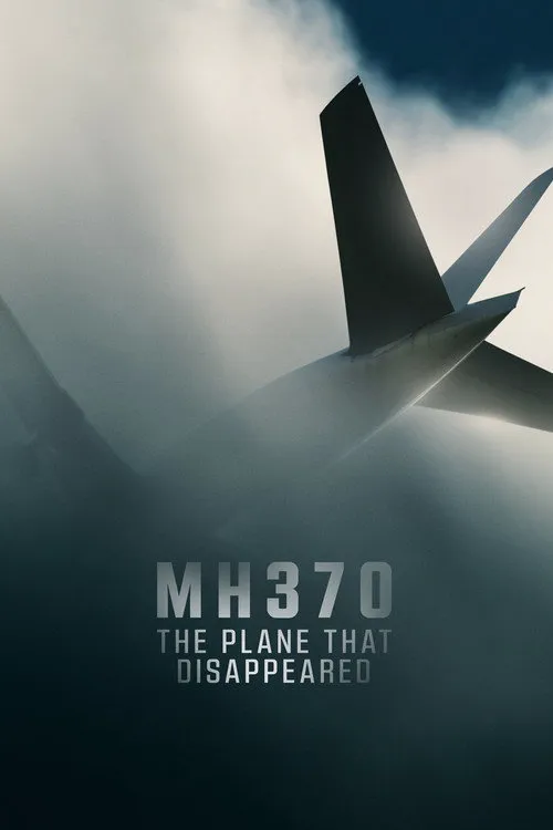 MH370：消失的航班海报