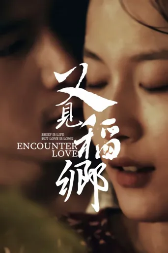 又见稻乡海报