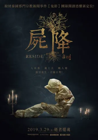 尸降海报