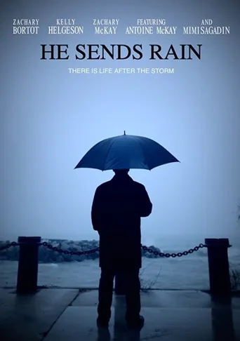 He Sends Rain海报
