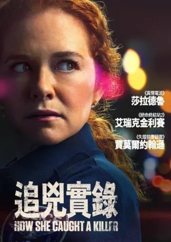 追凶实录海报