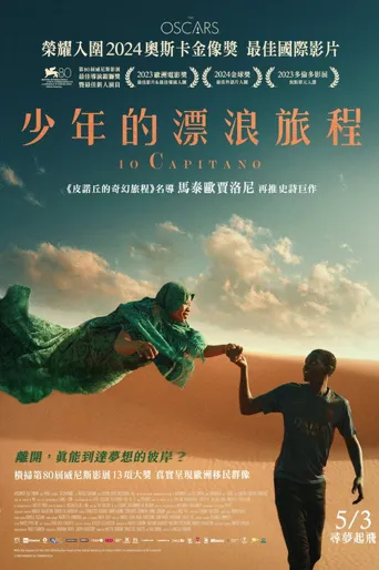 我是船长海报