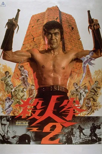杀人拳2海报