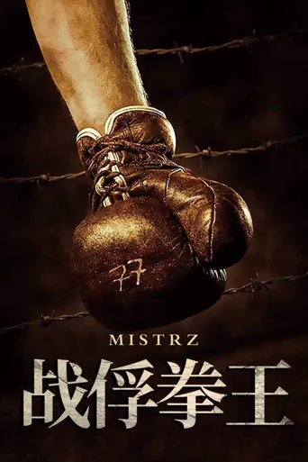 战俘拳王海报