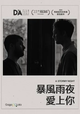 相识风雨中海报