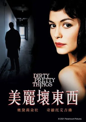 美丽坏东西海报