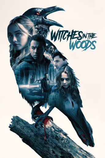 森林中的女巫海报