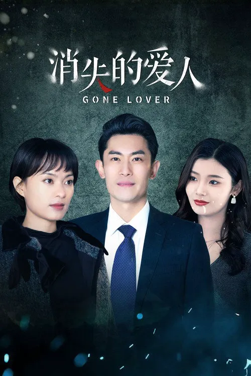 消失的爱人海报