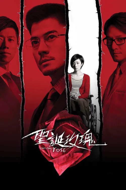 圣诞玫瑰海报