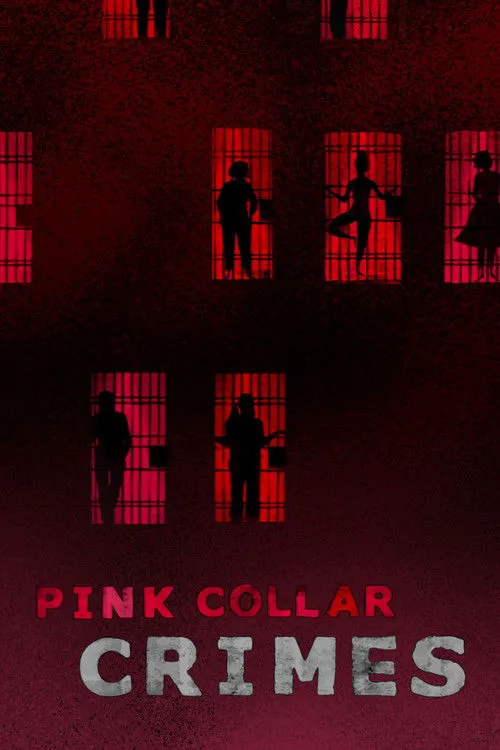 Pink Collar Crimes 第 1 季海报