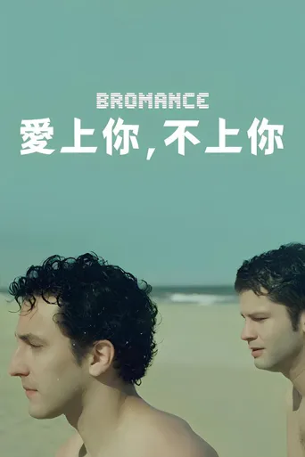 兄弟恰似爱人海报