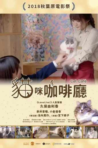猫咪咖啡厅海报