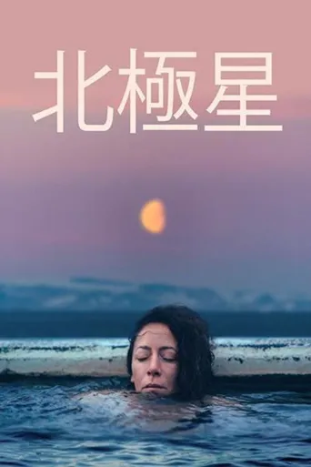 北极星海报