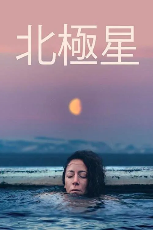 北极星海报