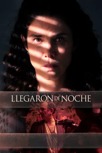 Llegaron de noche海报