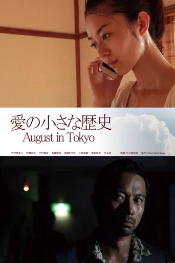 爱的小历史海报