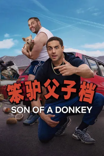 笨驴父子档海报