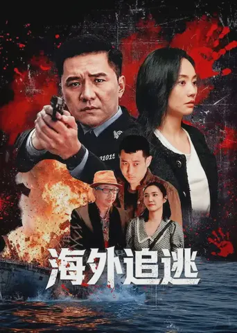海外追逃海报