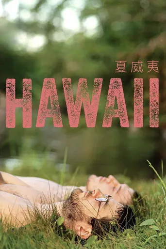 夏威夷海报