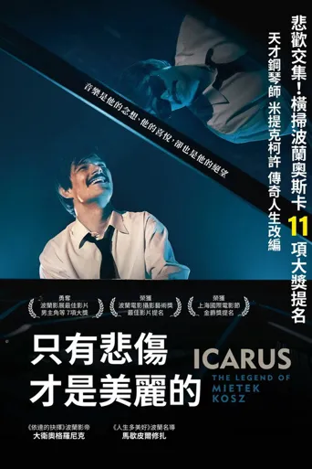 盲琴师海报