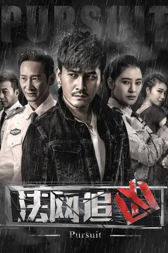 法网追凶海报