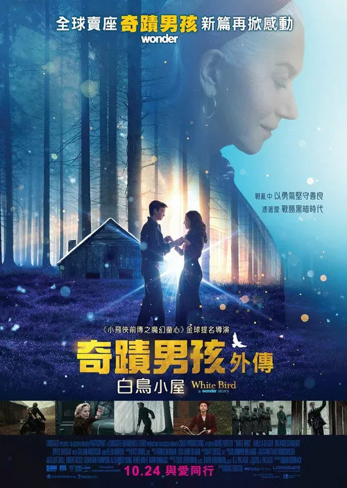 白鸟：奇迹海报