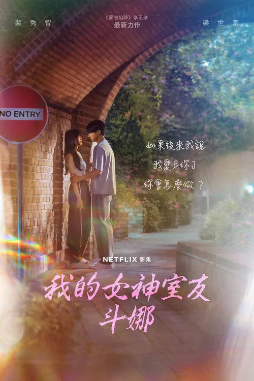 我的女神室友斗娜海报