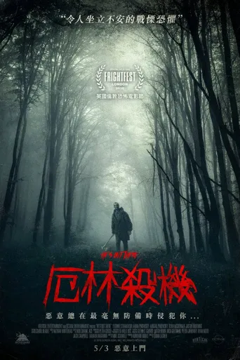 厄林杀机海报