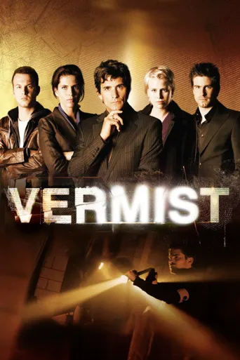 Vermist海报